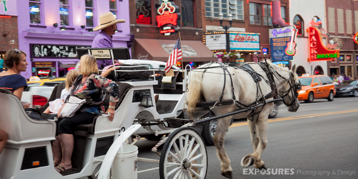 Horse-drawn carriage ride, Nashville